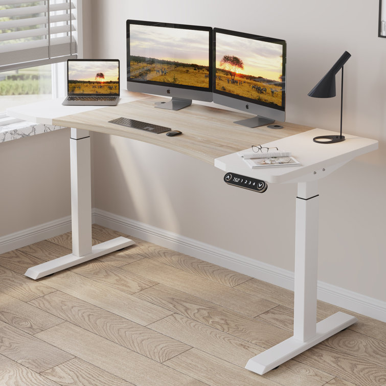 Inbox Zero Diarmuid 63" Height Adjustable Standing Desk & Reviews ...